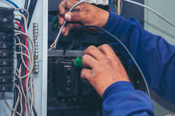 Best Electric Panel Repair  in Laurie, MO